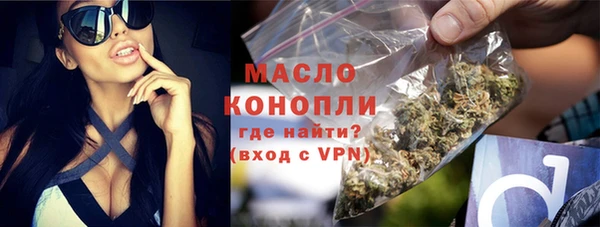 стаф Пересвет